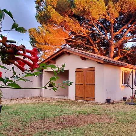 Libourne Studio Eksteriør billede