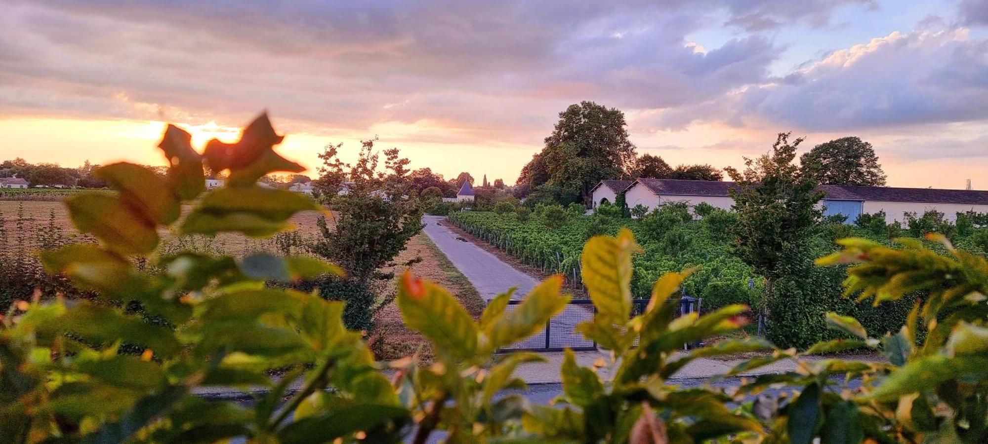 Libourne Studio Eksteriør billede