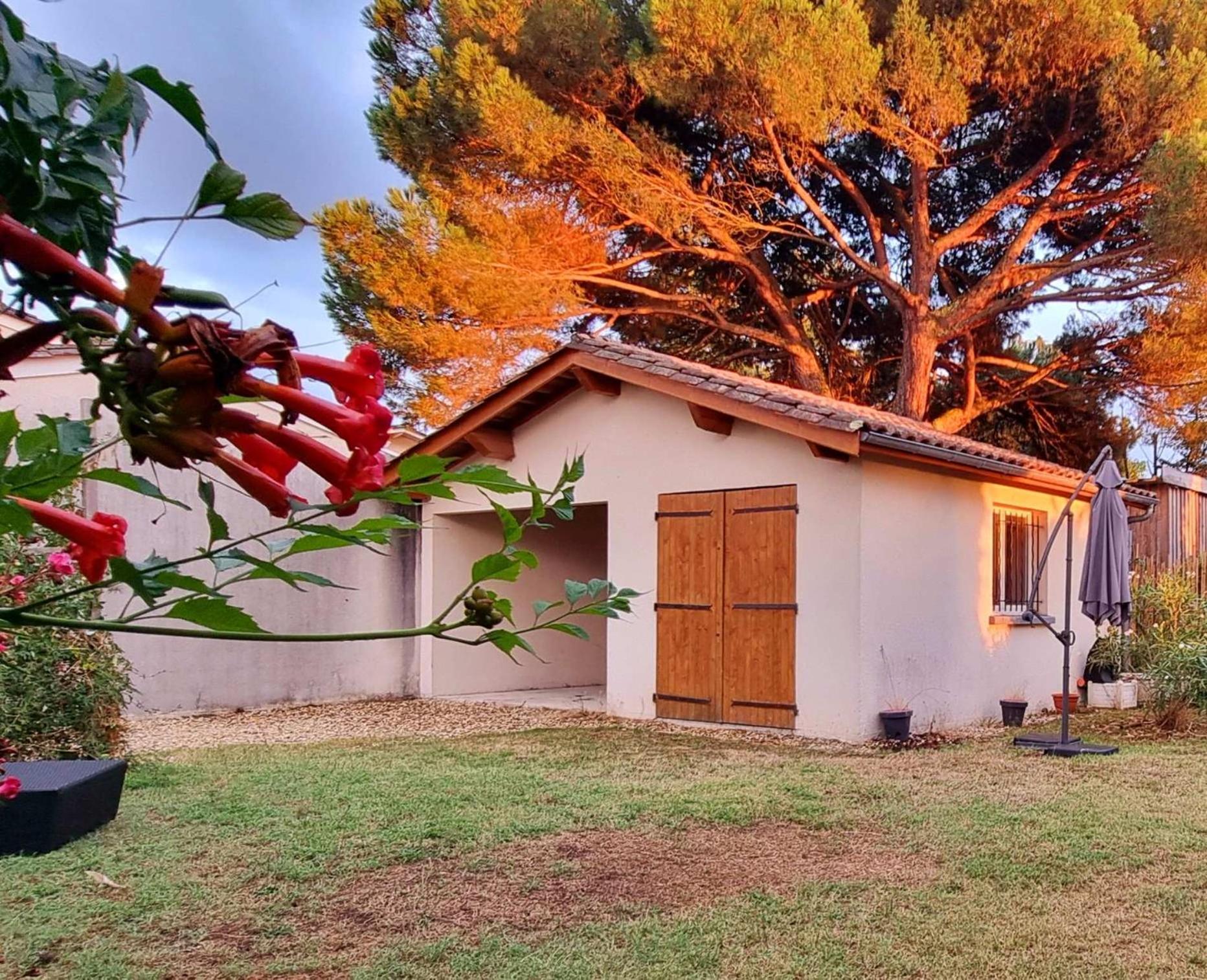 Libourne Studio Eksteriør billede